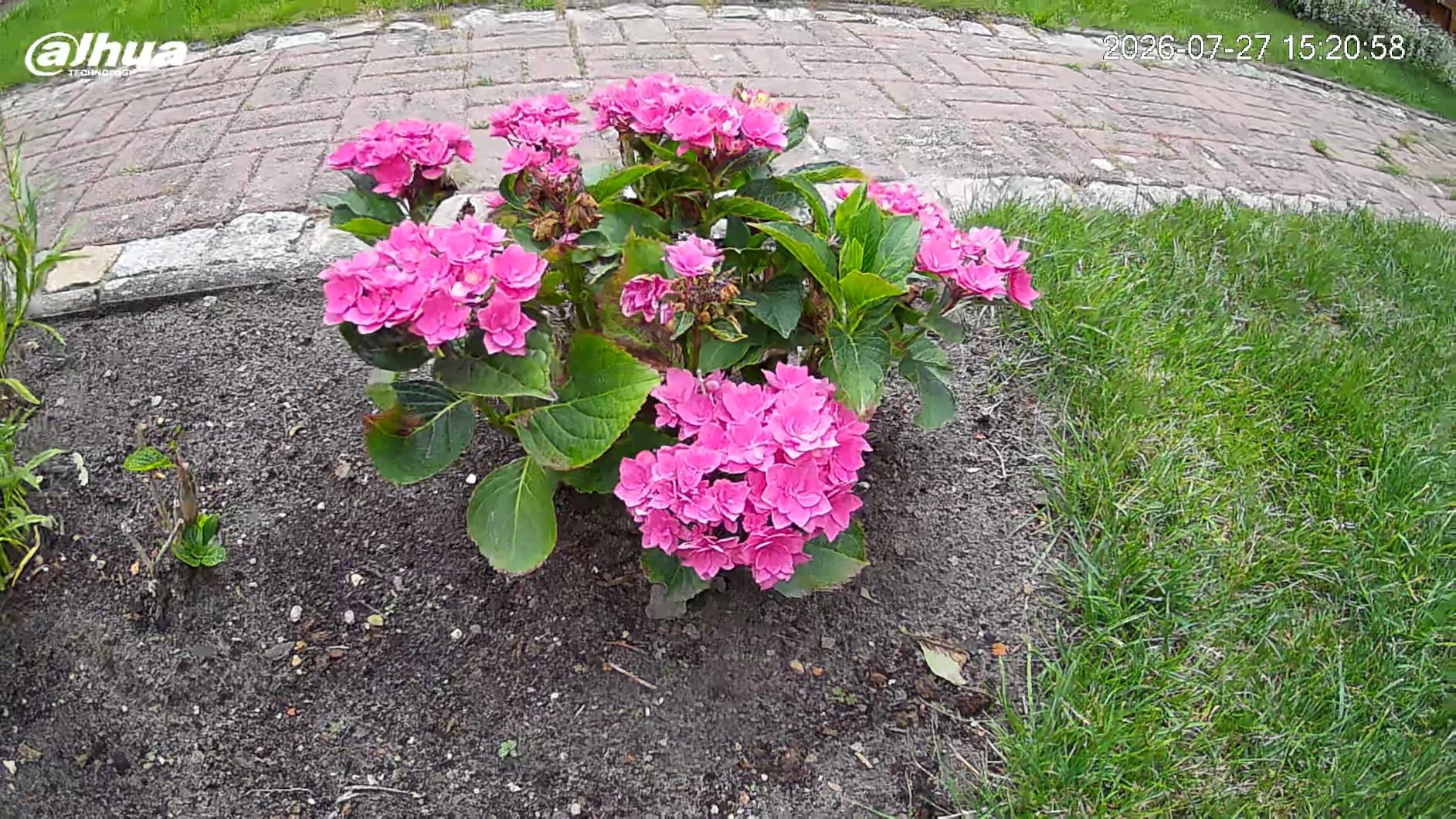 Kleines Gehäuse