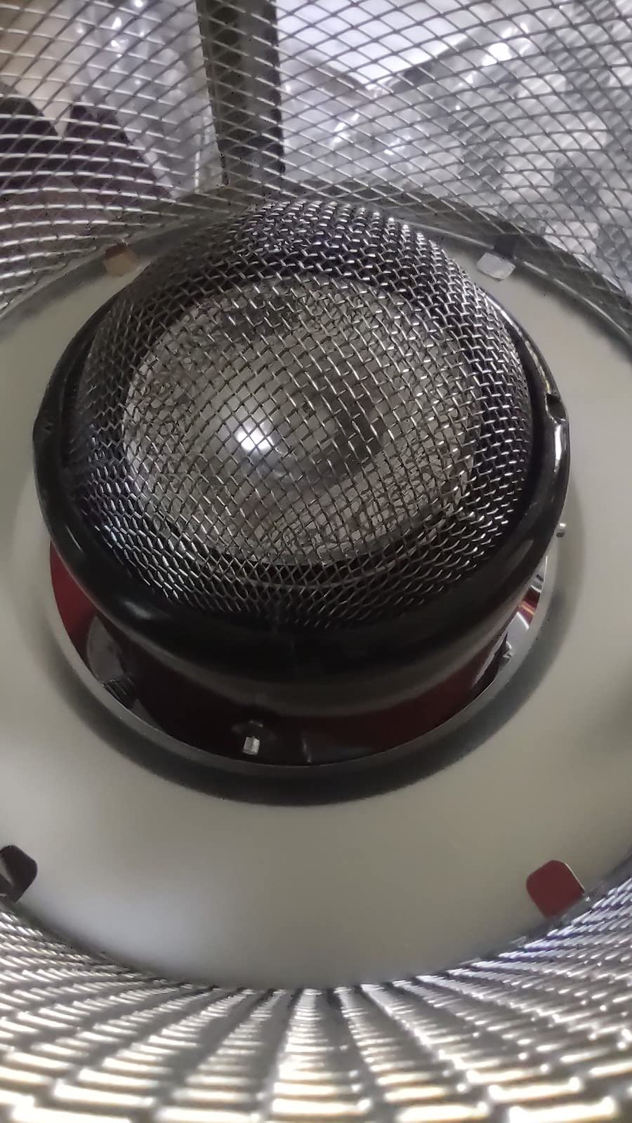 Riecht kurz