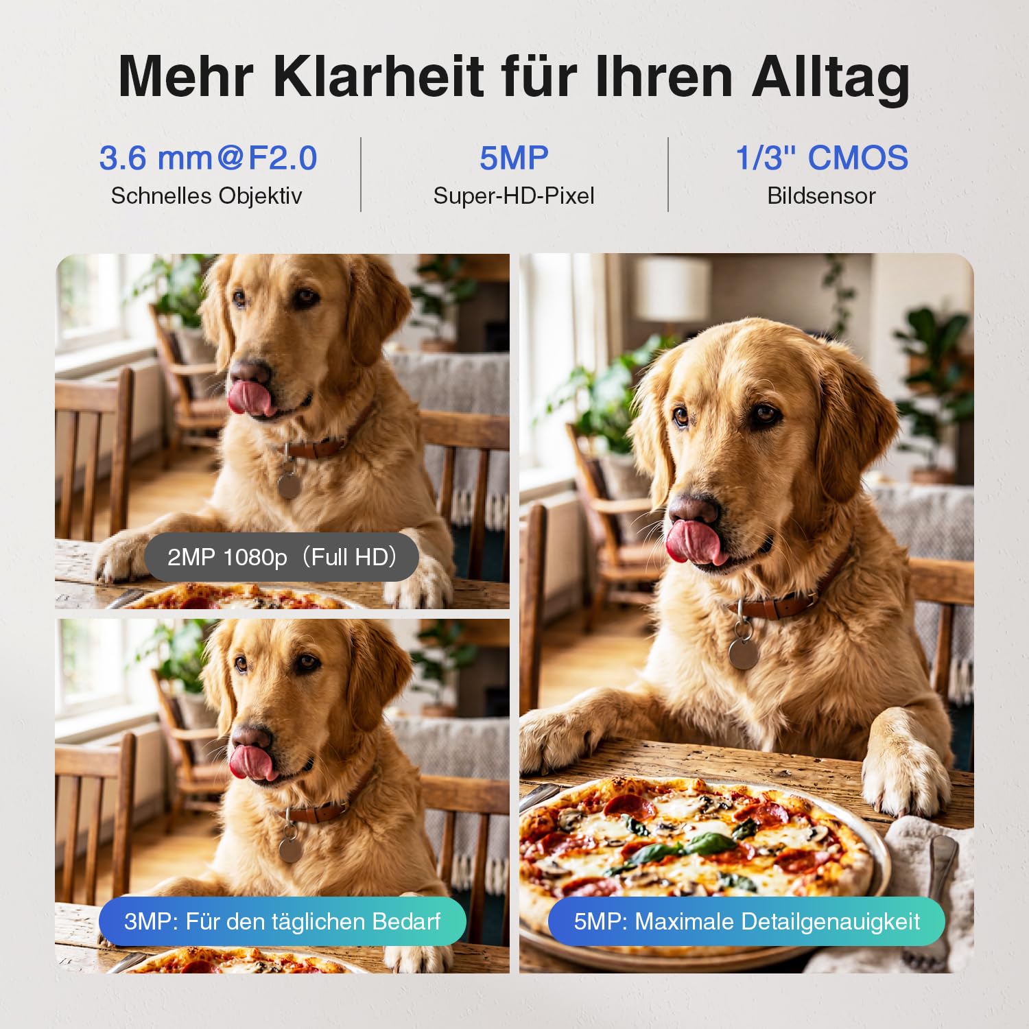 dahua-h5a-berwachungskamera-innen-5mp-wlan-6-360 image 3